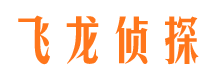 惠来市调查公司